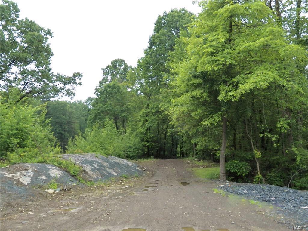 Plattekill/East Road - Photo 1