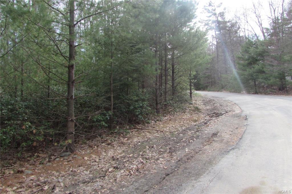 0 Mountain Top Road - Photo 1