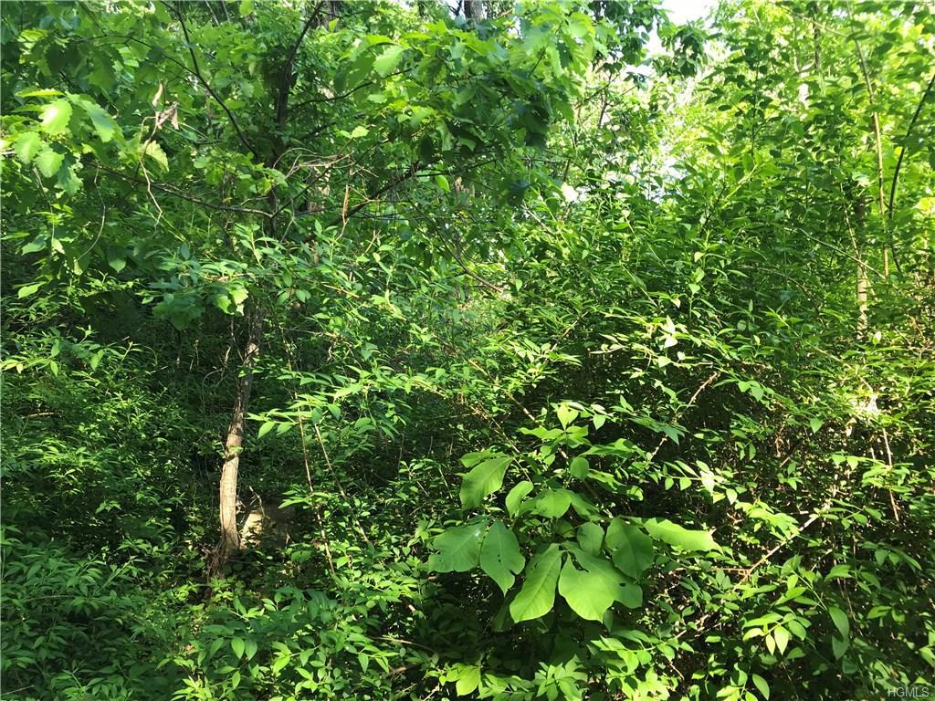 122 Blueberry Hill - Photo 1