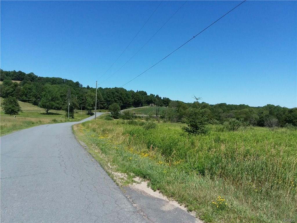 Jeffersonville North Branch Road - Photo 1