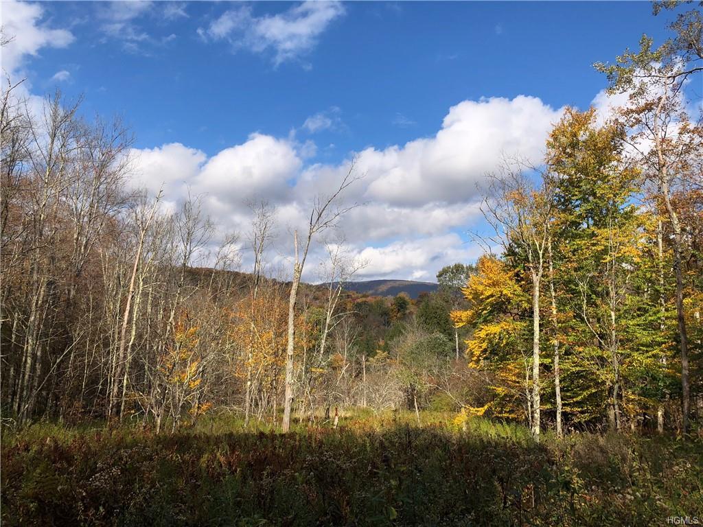 Shin Creek Road - Photo 1