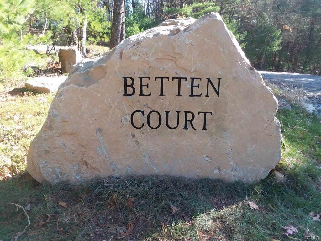36 Betten Court - Photo 1