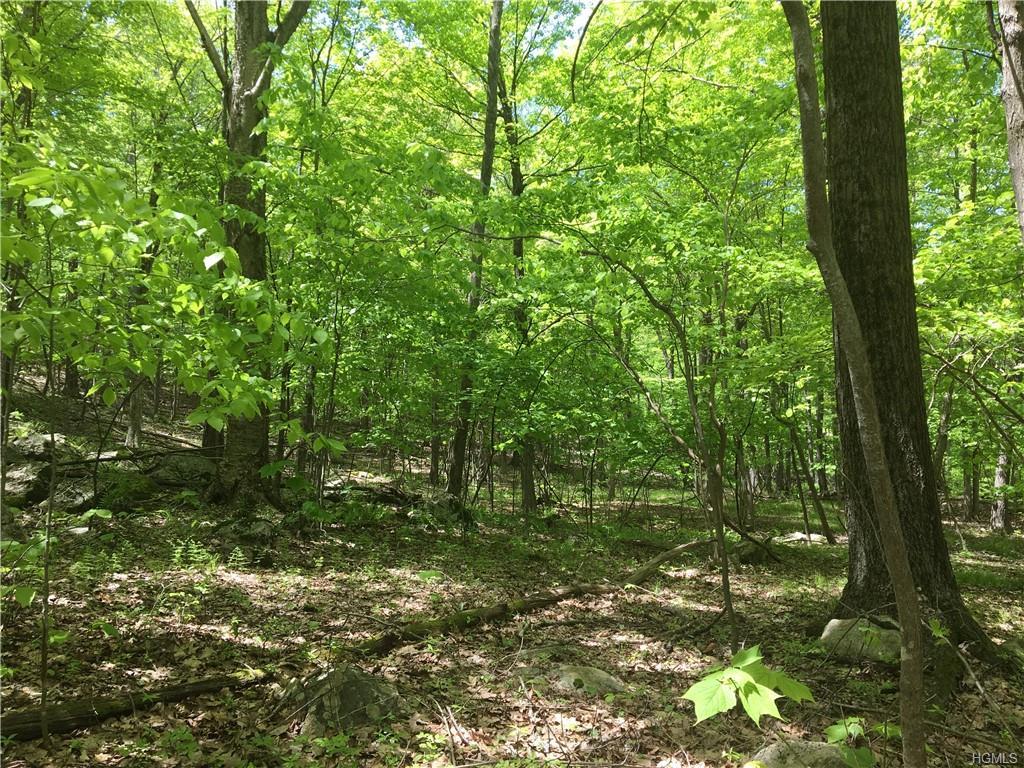 Lot #1.2 Beach Court - Photo 1