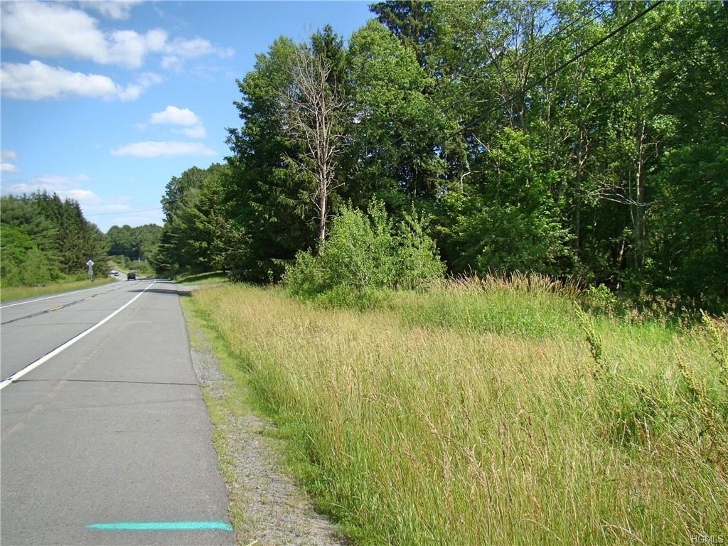 (18.13) Nys Hwy 17B - Photo 1 (18.13) Nys Hwy 17B - Photo 1