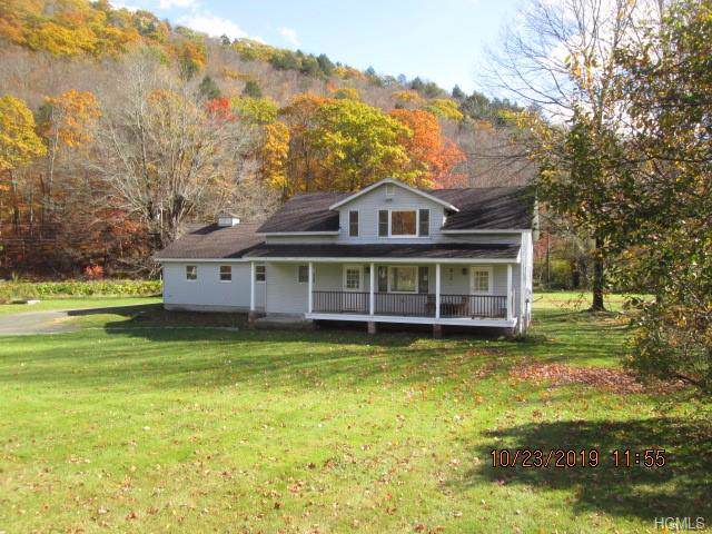 20871 Old Route 17 - Photo 1