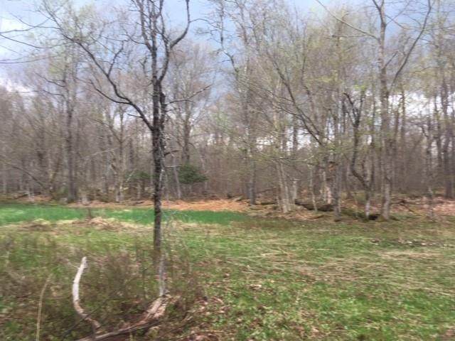 White Roe Lake Road - Photo 1