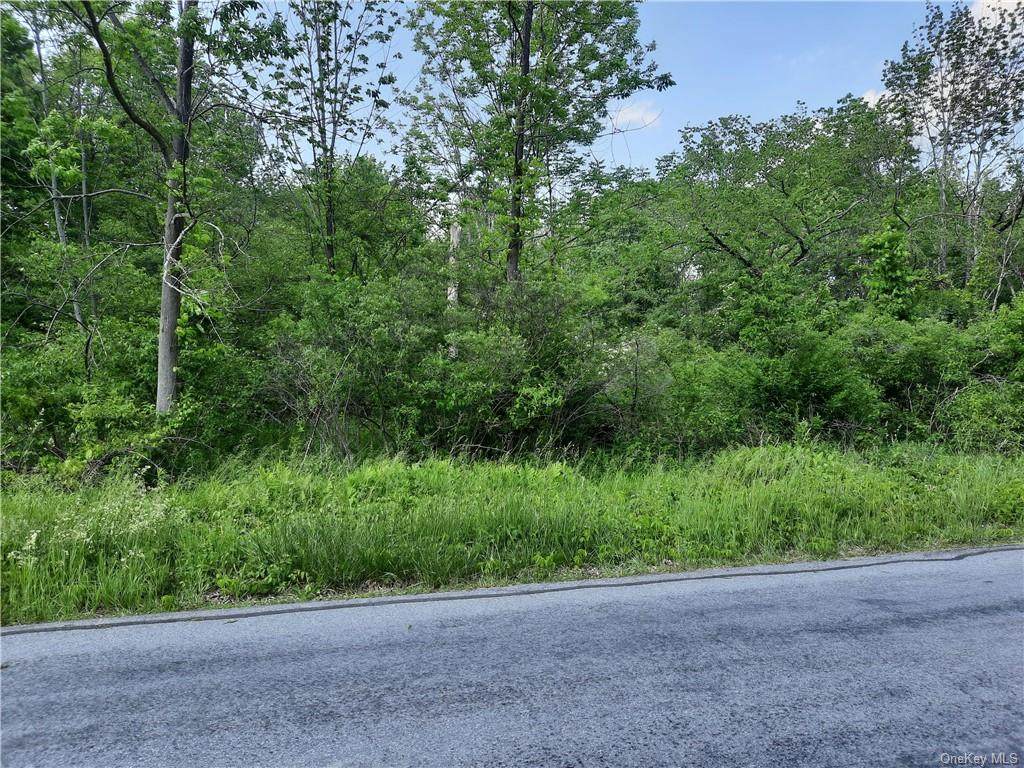 Eatontown Road - Photo 1