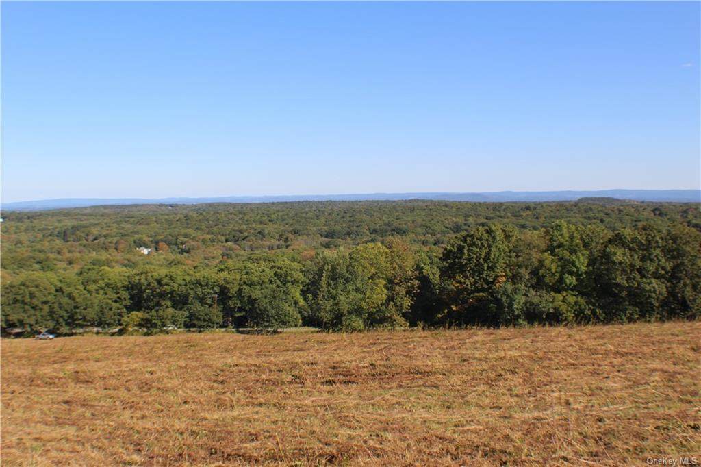 1095 Mountain Road - Photo 1