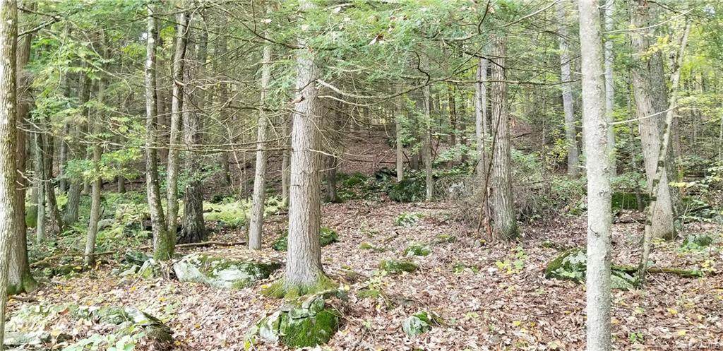 (9) Nys Route 97 - Photo 1