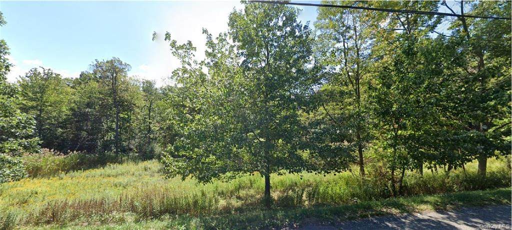 1497 Route 202 - Photo 1