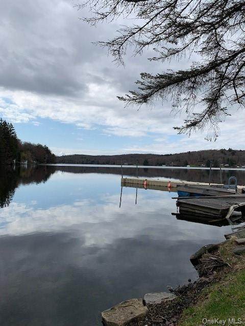 Tennanah Lake Road - Photo 1