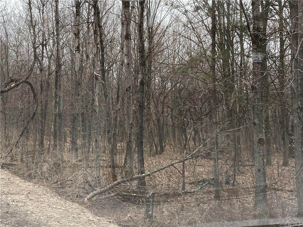 Ed Klug Road - Photo 1