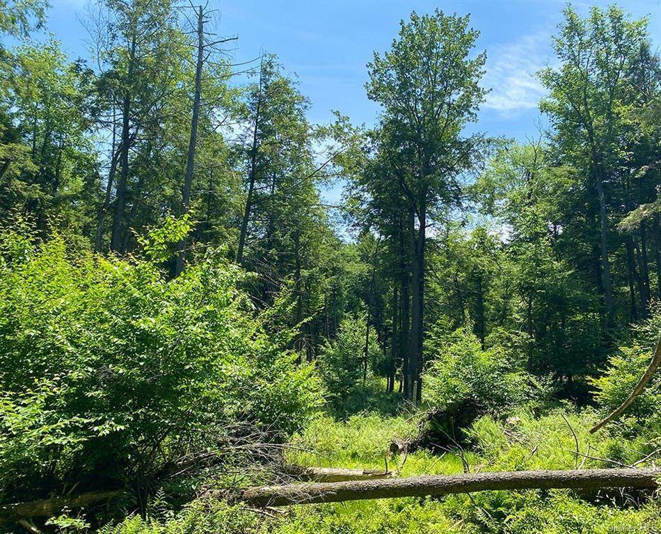 State Rt 52 - Photo 1
