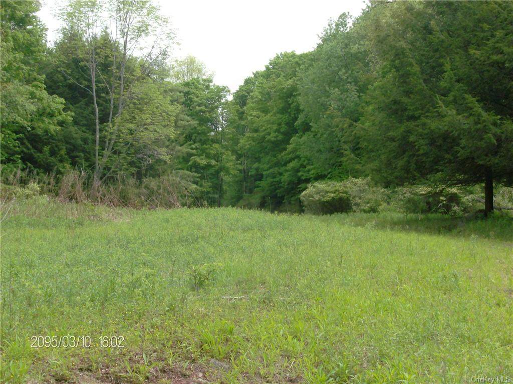 Wegman Road - Photo 1