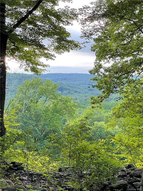 725 Croton Lake Road - Photo 1