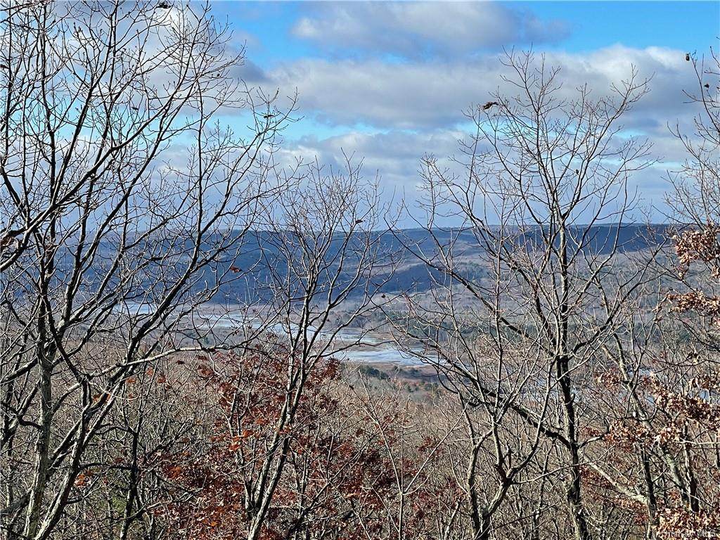Treetops Trail - Photo 1