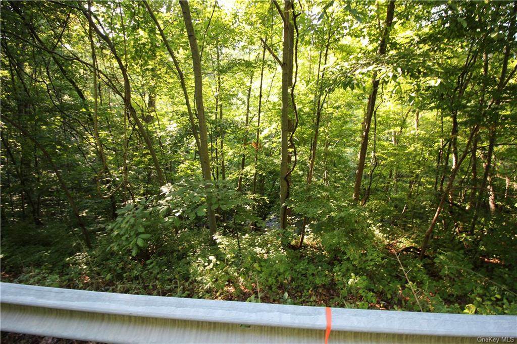 458 Sprout Brook Road - Photo 1
