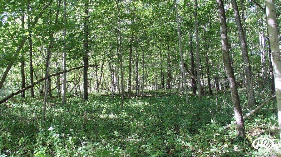Old Mountain Road - Photo 1