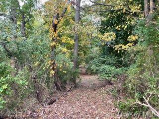 56 Mi-Anna Drive - Photo 1