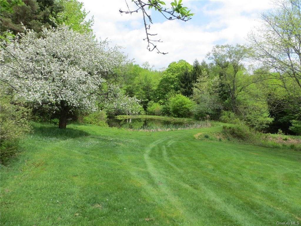 917 Horseshoe Lake Road - Photo 1