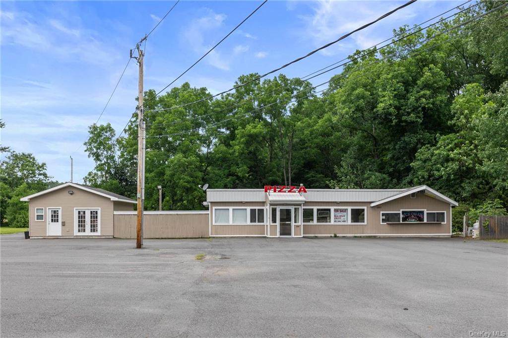 1007 Us Route 209 - Photo 1