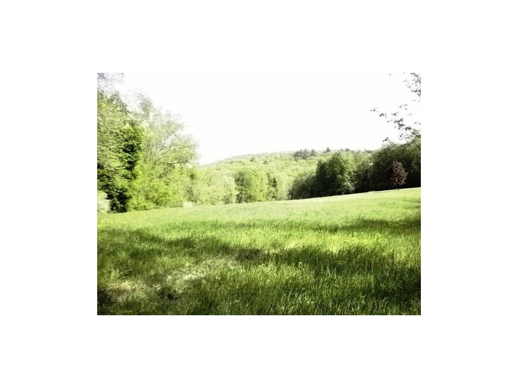 Lot A Couch Road - Photo 1