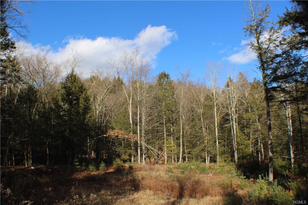 Brandt Road - Photo 1