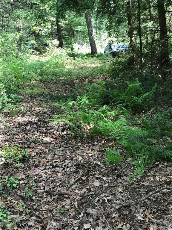 Lebanon Road - Photo 1