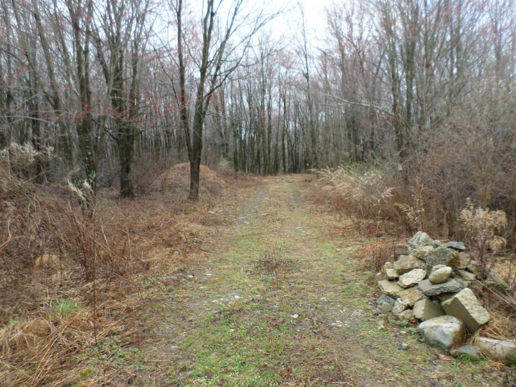 LOT#2 Greenville Turnpike - Photo 1