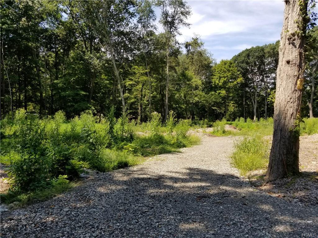 2670 Amawalk Road - Photo 1