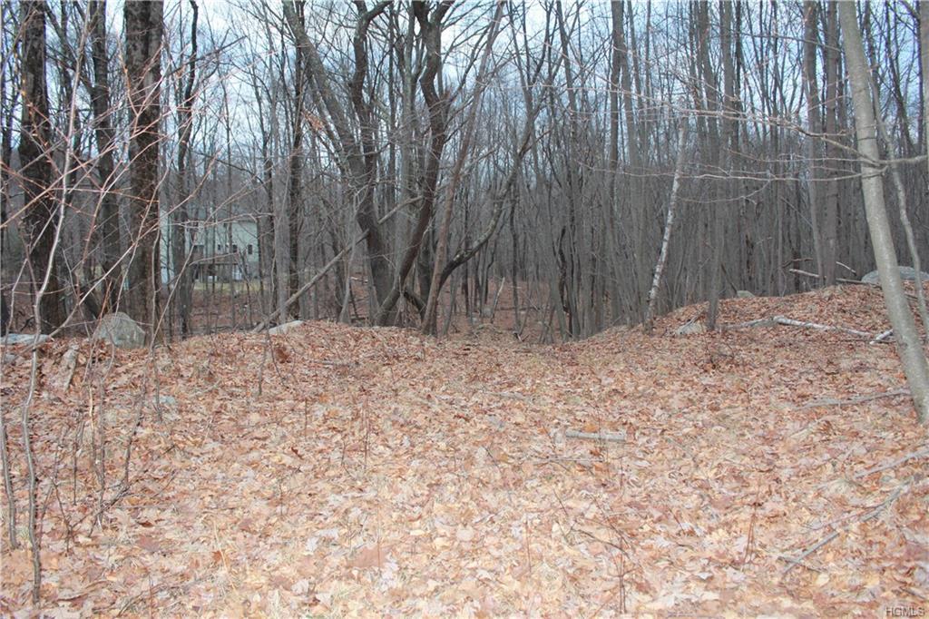 Ludingtonville Road - Photo 1