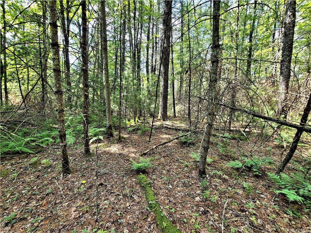(17) Desmond Crossing - Photo 1