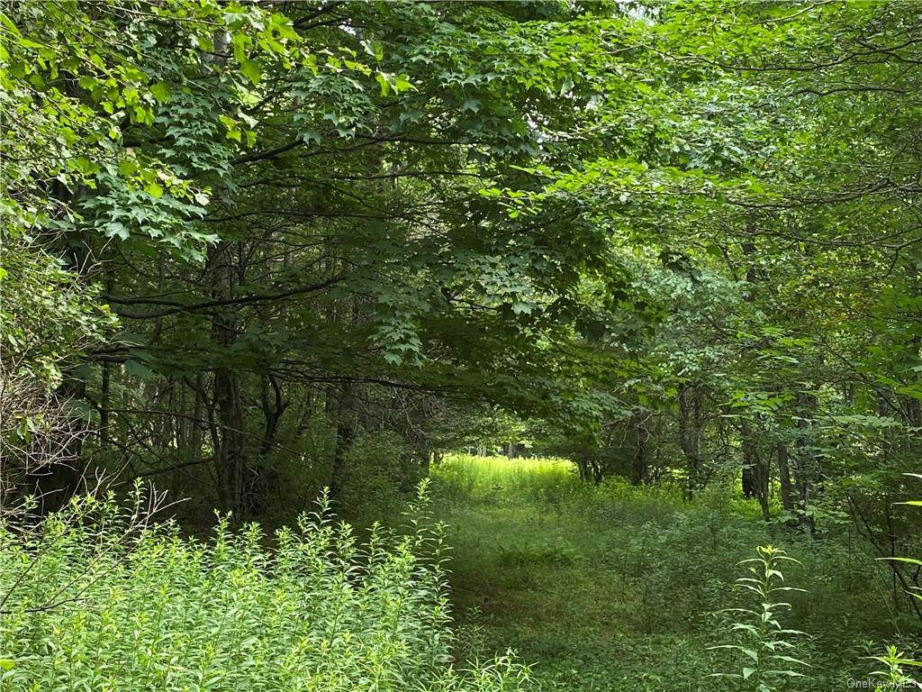 Ed Klug Road - Photo 1
