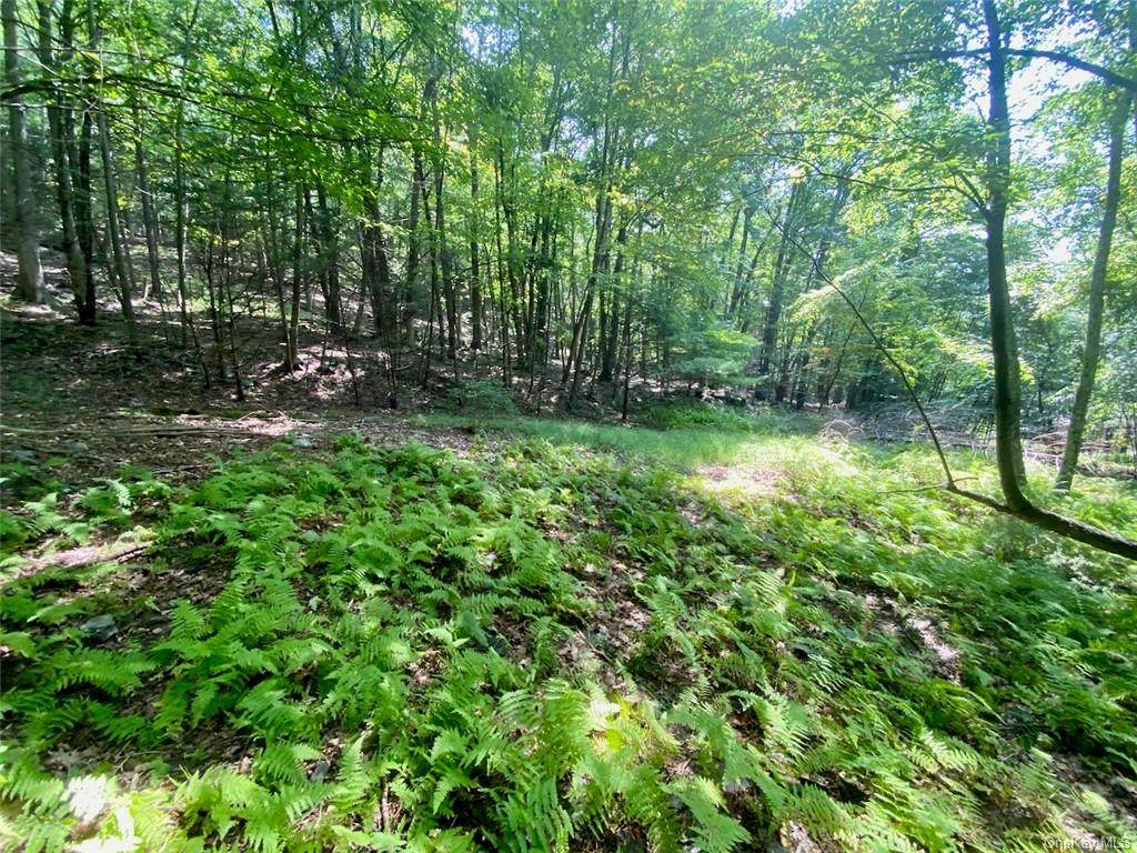 3340 High Road - Photo 1