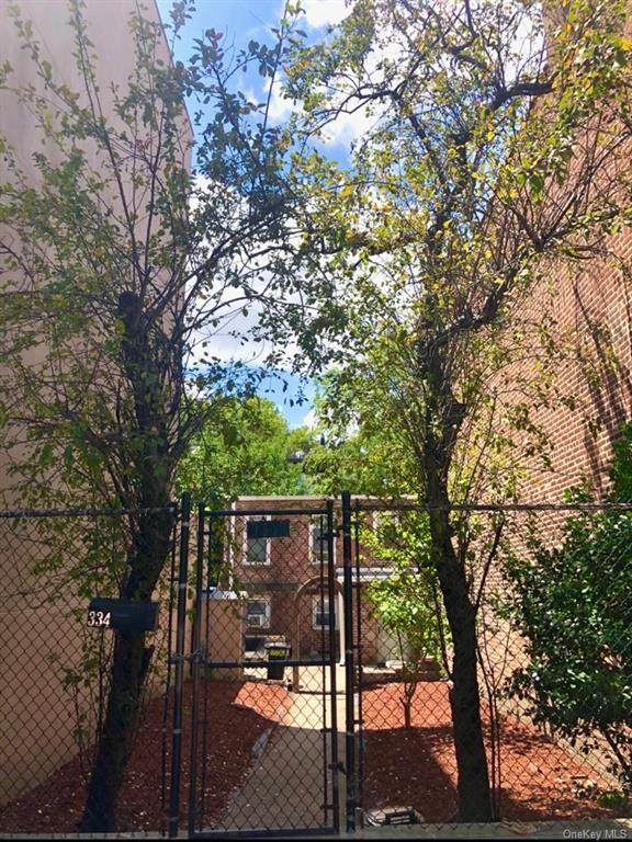 334 Carroll Street - Photo 1