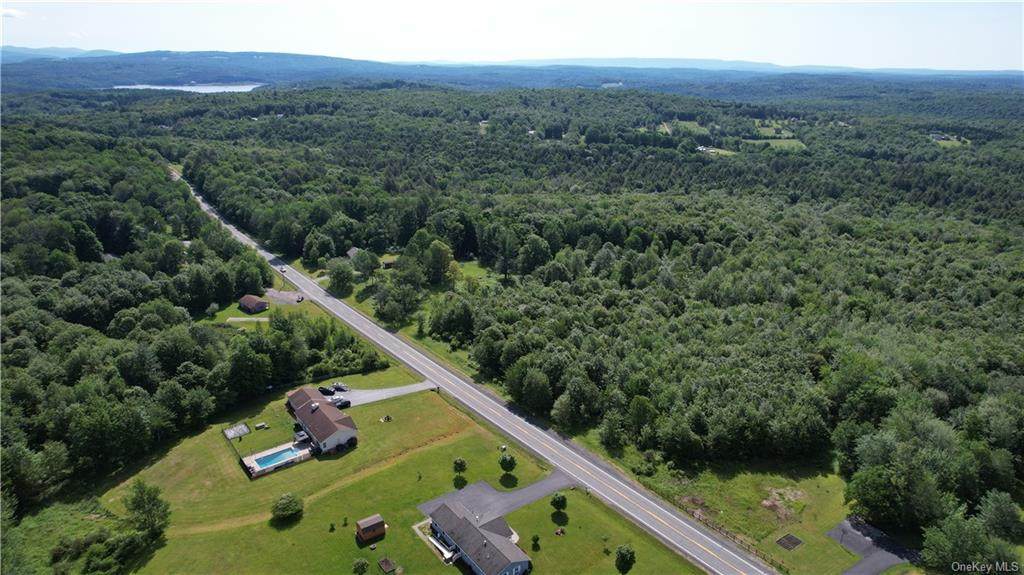 ** Neversink Road - Photo 1