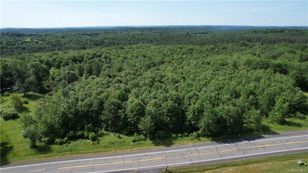 Neversink Road - Photo 1