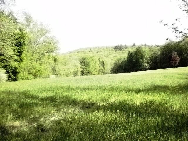 Lot A Couch Road - Photo 1