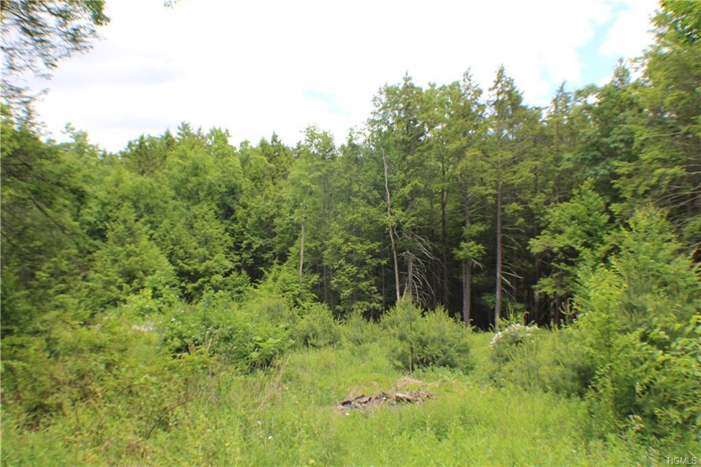 Brandt Road - Photo 1