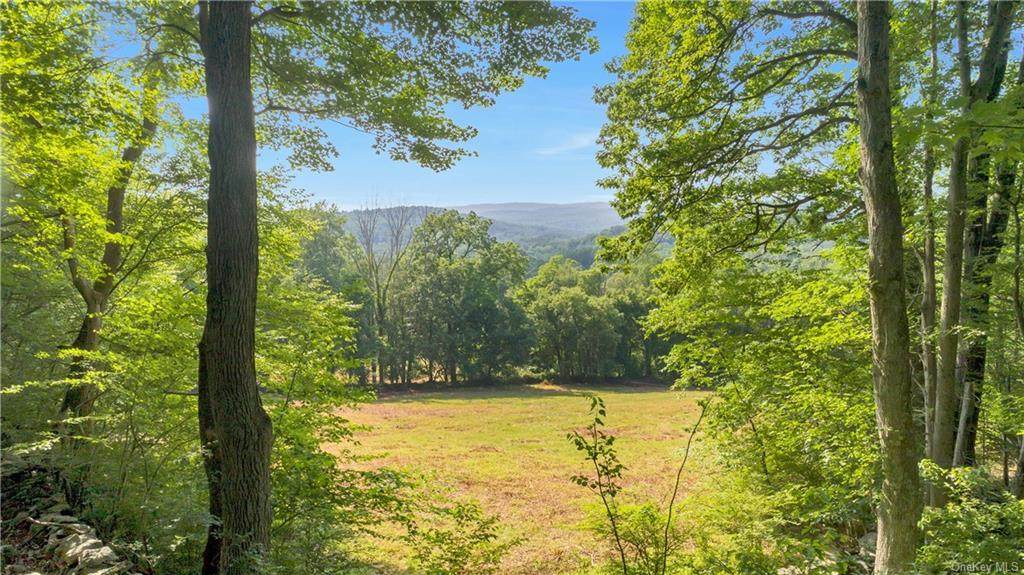 725 Croton Lake Road - Photo 1