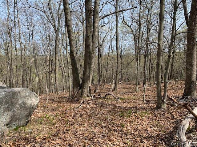 163 Hickory Kingdom Road - Photo 1