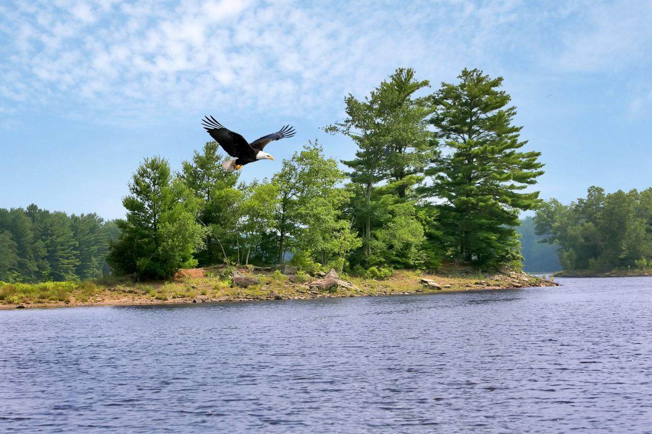  Whispering Woods Drive - Photo 1