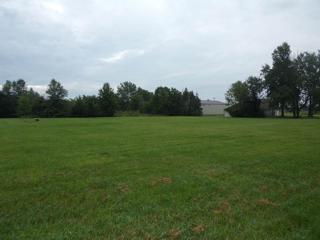 1730 Celina Road - Photo 1