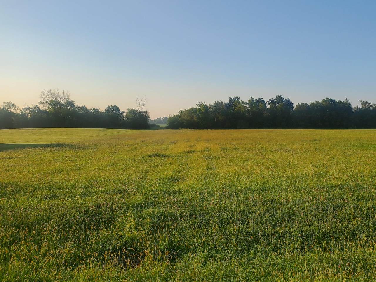 1195 Us Highway 42 Sw - Photo 1
