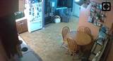 10657 County Road 5 - Photo 8