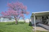 12218 Sandi Lane - Photo 42