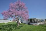 12218 Sandi Lane - Photo 43
