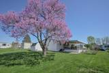 12218 Sandi Lane - Photo 44
