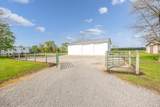 113 Kress Street - Photo 4