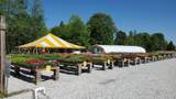 11140 Milton Carlisle Road - Photo 22
